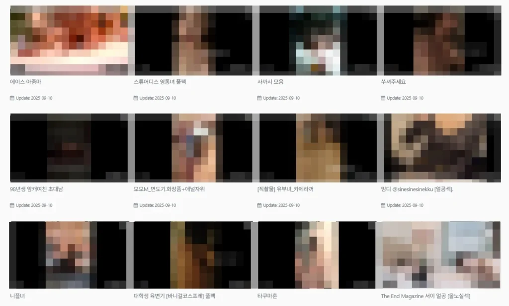 AV19의 다양한 한국야동 썸네일을 보여주는 장면. 한국 아마추어 장면 캡처.